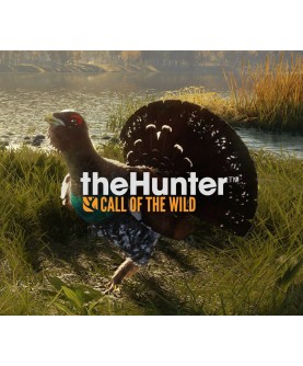 theHunter: Call of the Wild - Revontuli Coast DLC Steam Key EUROPE